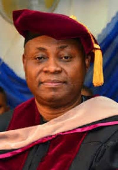 Adedeji Adeleke education