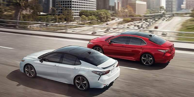 2019 toyota camry AND 2019 honda accord